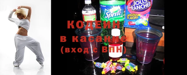 индика Гусиноозёрск