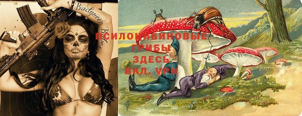 не бодяженный Дмитровск