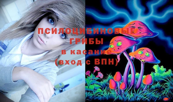 jwh Гусь-Хрустальный