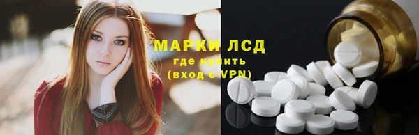 индика Гусиноозёрск