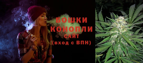 индика Гусиноозёрск